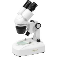 Binolupa Omegon 33127 (80x) stereomikroskop