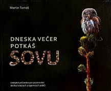 Kniha DNESKA VEČER POTKÁŠ SOVU, Tomáš Martin